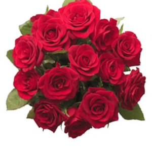 Meet your Posher, Guadalupe